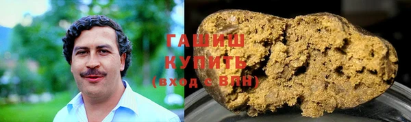 дживик Няндома