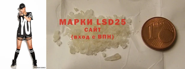 МДПВ Новозыбков