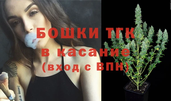 дживик Няндома