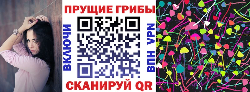 цена   Калининск  ОМГ ОМГ вход  Галлюциногенные грибы мухоморы 