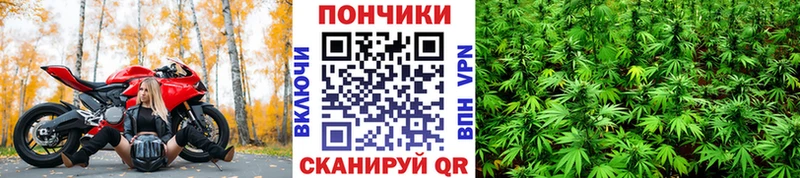 Конопля сатива  нарко площадка телеграм  Калининск  цены наркотик 
